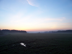 Nature 04.04.2006 (4).jpg