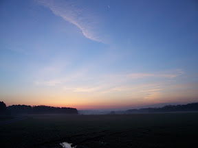 Nature 04.04.2006 (6).jpg